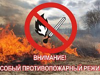 В Саратовской области ввели особый противопожарный режим
