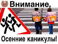 Кампания по безопасности дорожного движения