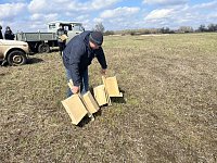 В заказнике "Центральный" разместили сделанные школьниками скворечники