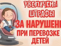 Увеличены размеры административных штрафов за нарушение требований к перевозке детей