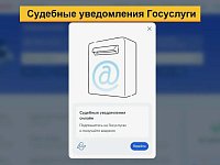 Судебные уведомления можно получать через портал "Госуслуги"