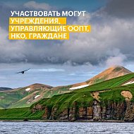 Саратовцев приглашают принять участие в конкурсе экологических и природоохранных проектов