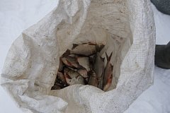 В Саратове сотрудники ОМОН «Патриот» принимают участие в межведомственных рейдах, направленных на борьбу с браконьерством.