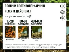 В регионе действует особый противопожарный режим 