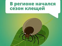 В Саратовской области становятся активными клещи – самое время вспомнить правила безопасности