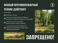 В регионе действует особый противопожарный режим 