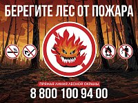  Причина 90% лесных пожаров — результат действий человека