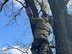 В заказнике "Центральный" разместили сделанные школьниками скворечники