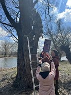 В заказнике "Центральный" разместили сделанные школьниками скворечники
